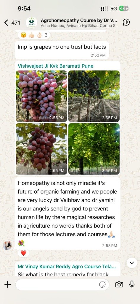 Student Testimonial